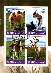 Mini Sheet, Goats, Uganda,  , Animals (Fauna), Goats, Mammals