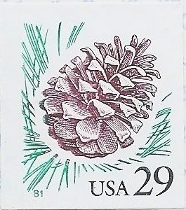 Pine Cone