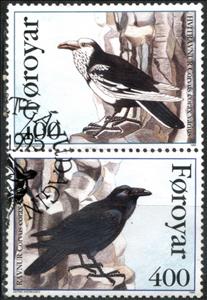 Se-tenant, Pied Raven (Corvus corax varius), Faroe Islands,  , Animals (Fauna), Birds