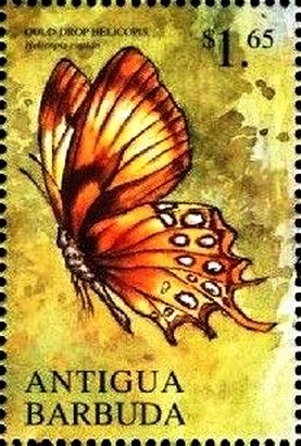 Gold-drop helicopis