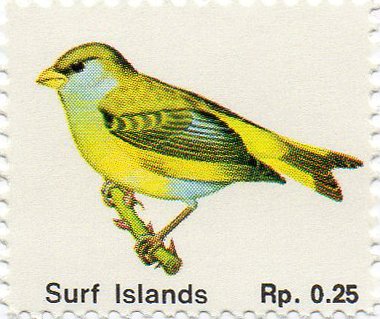 Surf Islands - Birds - Greenfinch
