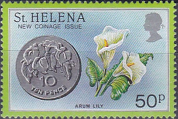 Arum lily