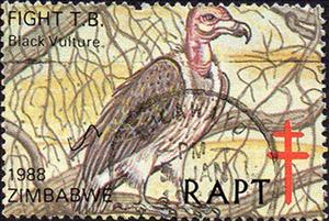 Stamp, Some Endangered Species of Zimbabwe; - Black Vulture, Cinderellas,  , Birds, Tuberculosis / TBC