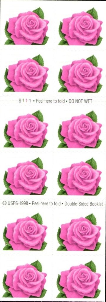 Coral Pink Rose