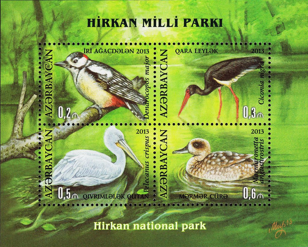 Birds of the Hircan National Park