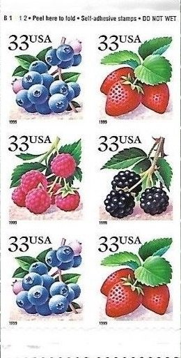 Fruit Berries