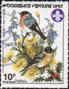 Stamp, Garden Birds - Bullfinch, Cinderellas,  , Birds