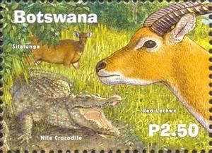 Stamp, Sitatunga, Nile crocodile and Red Lechwe, Botswana,  , Animals (Fauna)