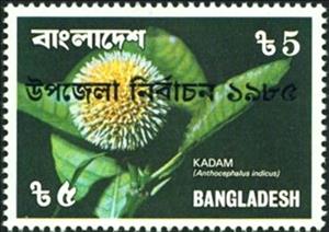 Stamp, Anthocephalus indicus, Bangladesh,  , Elections, Flowers