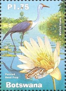 Stamp, Wattled crane and Painted reed frog, Botswana,  , Animals (Fauna)