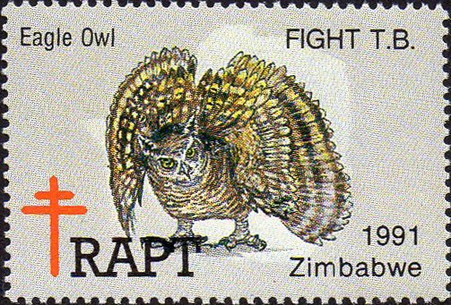 Zimbabwe - Diverse and Enchanting; Eagle Owl