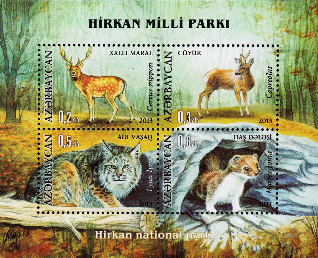 Animals of the Hircan National Park