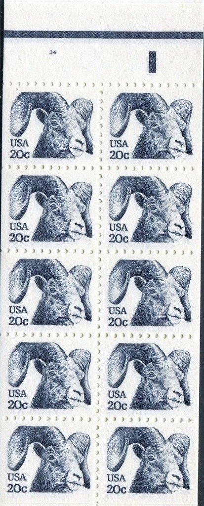Bighorn Sheep (Ovis canadensis)