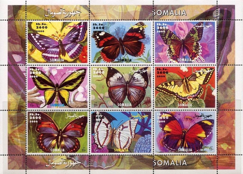 Butterflies