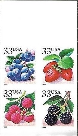 Fruit Berries