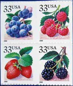 Se-tenant, Fruit Berries, United States of America,  , Fruits, Plants (Flora)