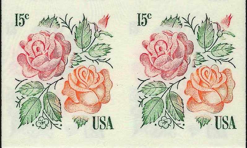 Roses
