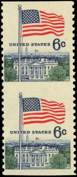 Flag and White House