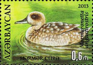 Stamp, Marmaronetta angustirostris, Azerbaijan,  , Animals (Fauna), Birds, Ducks