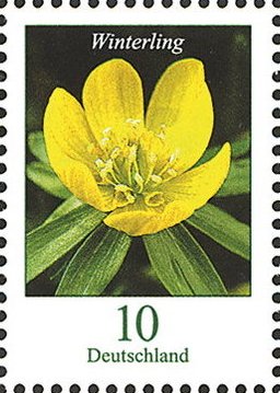 Stamp, Eranthis hyemalis, Germany, Federal Republic,  , Flowers, Plants (Flora)