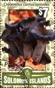 Stamp, Craterellus cornucopioides, Solomon Islands,  , Mushrooms