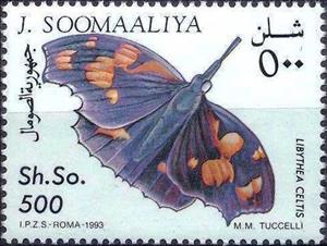 Stamp, Libythea celtis, Cinderellas,  , Butterflies, Insects
