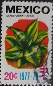 Stamp, Sanseivieria Hahnii, Cinderellas,  , Flowers, Plants (Flora), Tuberculosis / TBC