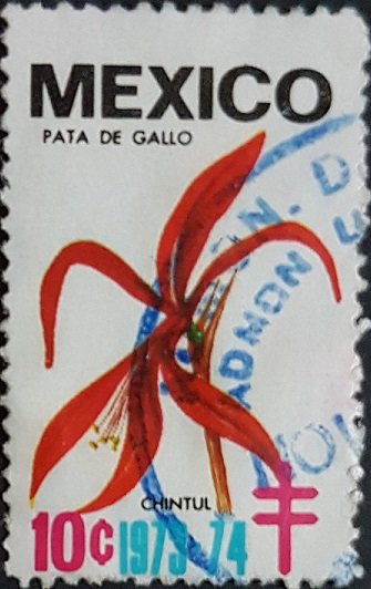 Pata de gallo