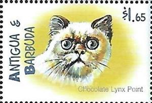 Stamp, Chocolate lynx point, Antigua and Barbuda,  , Cats