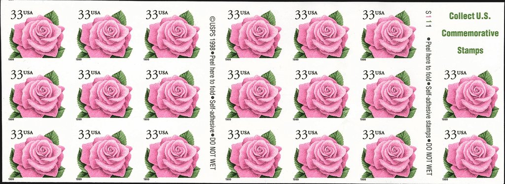 Coral Pink Rose