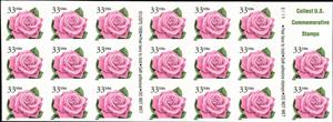 Booklet Pane, Coral Pink Rose, United States of America,  , Flowers, Plants (Flora), Roses