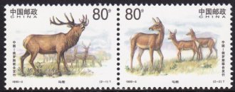 Se-tenant, Manchurian Wapiti (Cervus elaphus xanthopygus), China, People's Republic,  , Animals (Fauna), Deer, Mammals