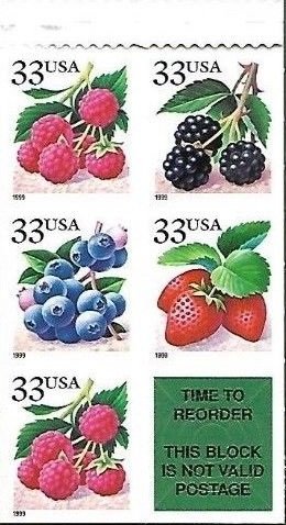 Fruit Berries