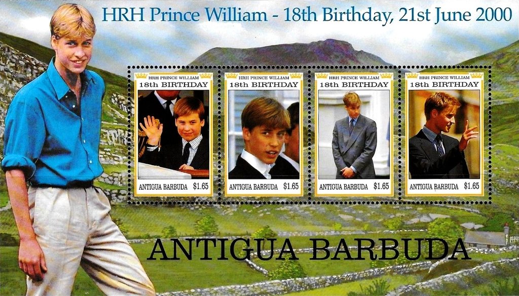 Prince William, 18th Birthday