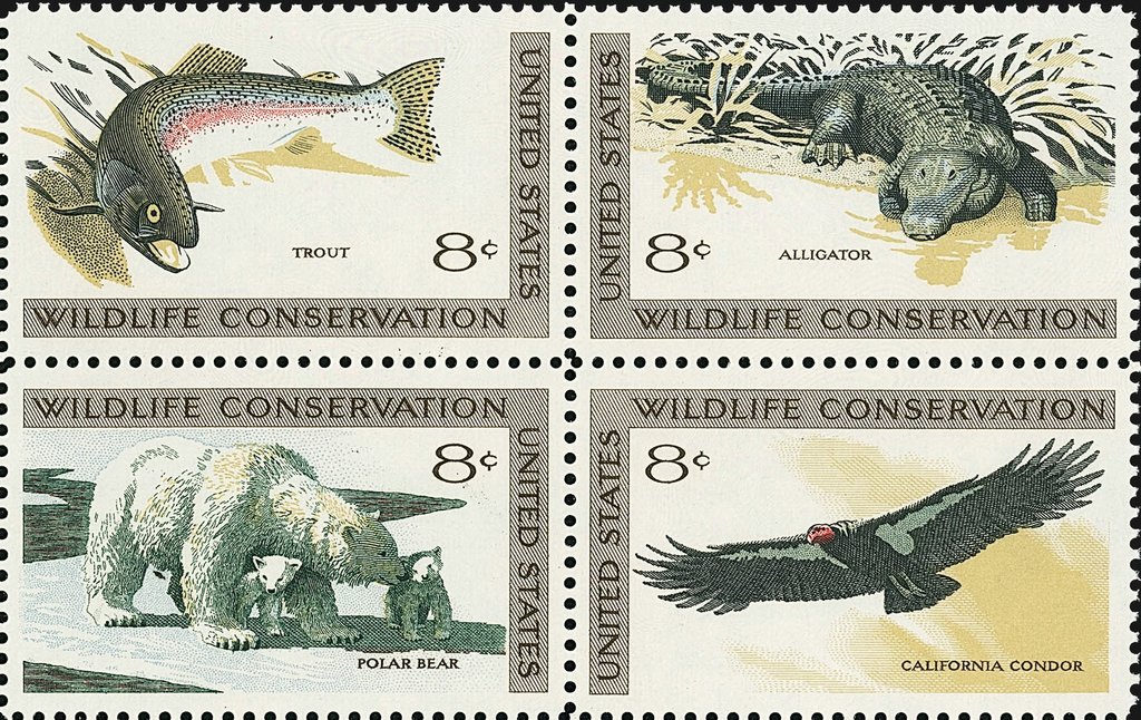 Wildlife Conservation