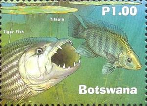 Stamp, Tiger Fish and Tilapia, Botswana,  , Animals (Fauna)