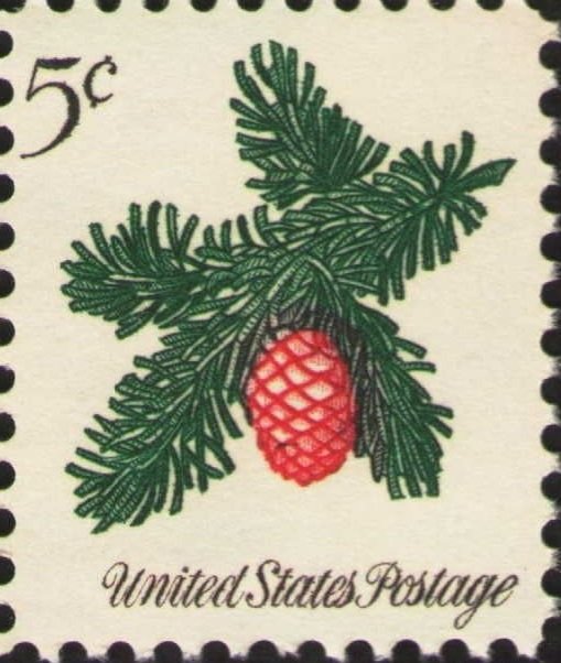 Christmas 1964: Sprig of Conifer