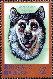 Stamp, Alaskan malamute, Antigua and Barbuda,  , Animals (Fauna), Dogs, Mammals