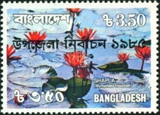 Nymphaea nouchali