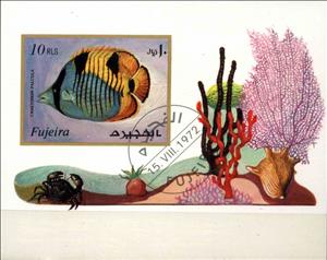 Souvenir Sheet, Chaetodon falcula, Fujairah (Fujeira),  , Animals (Fauna), Fishes, Sea Life