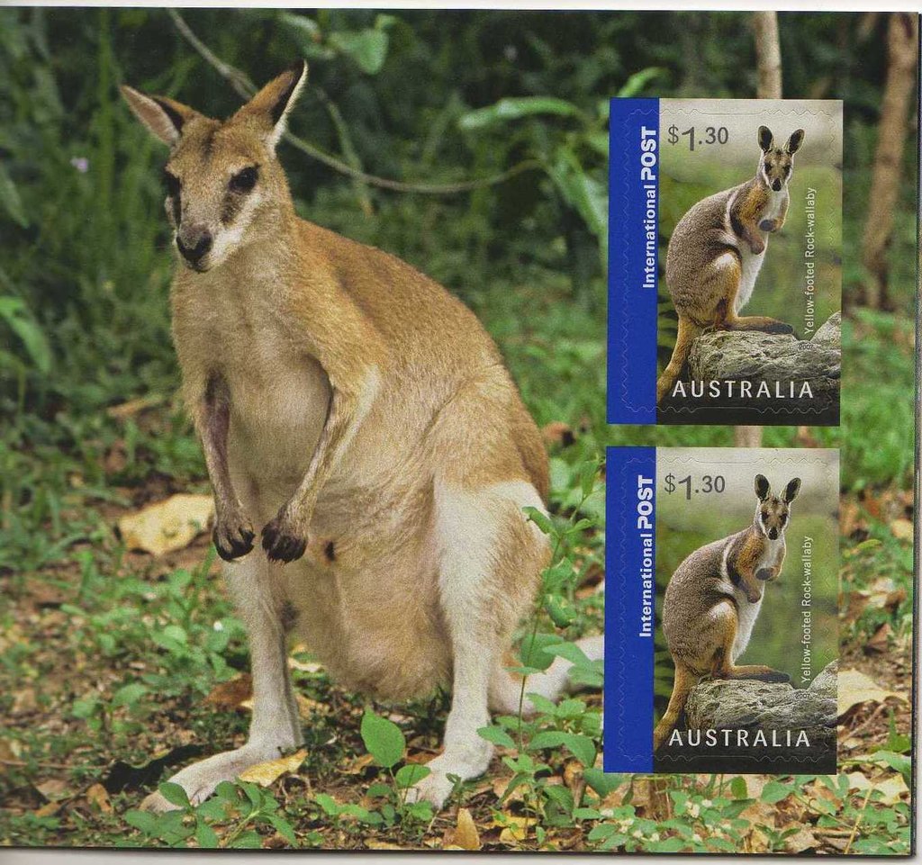 Wallabies Self Adhesive Booklet