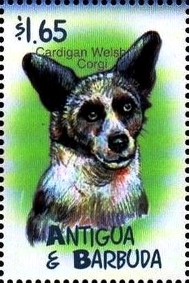 Stamp, Cardigan Welsh corgi, Antigua and Barbuda,  , Dogs