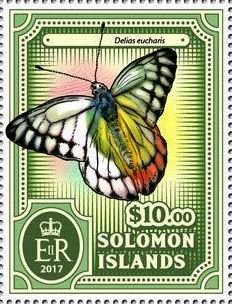 Delias eucharis