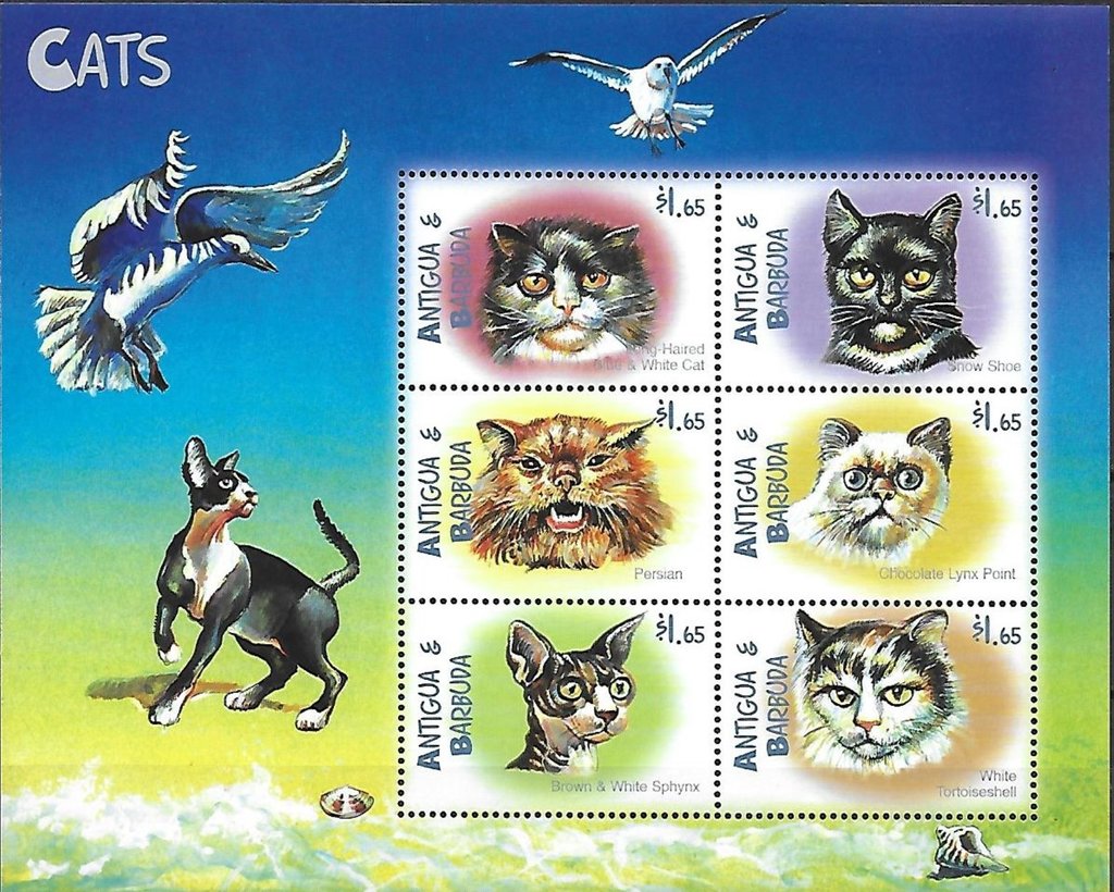 Cats