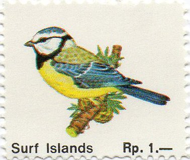 Surf Islands - Birds - Blue Tit