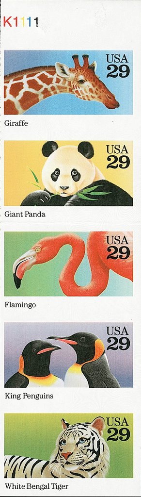 Wild Animals