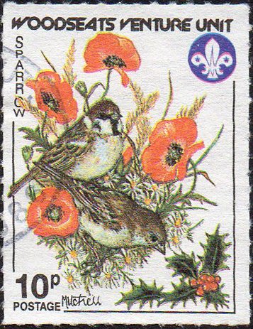 Garden Birds - Sparrow