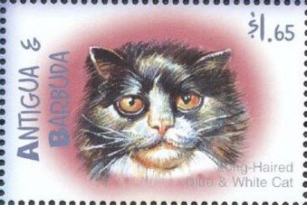 Stamp, Long-haired blue and white, Antigua and Barbuda,  , Cats
