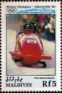 Two-man bobsled