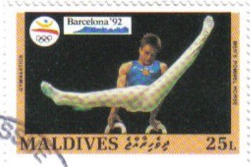 Pommel horse